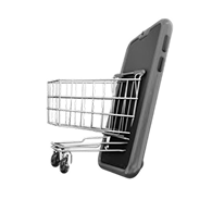 Ecommerce 