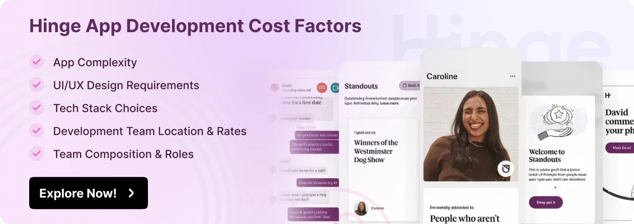 Hinge App Cost Factors