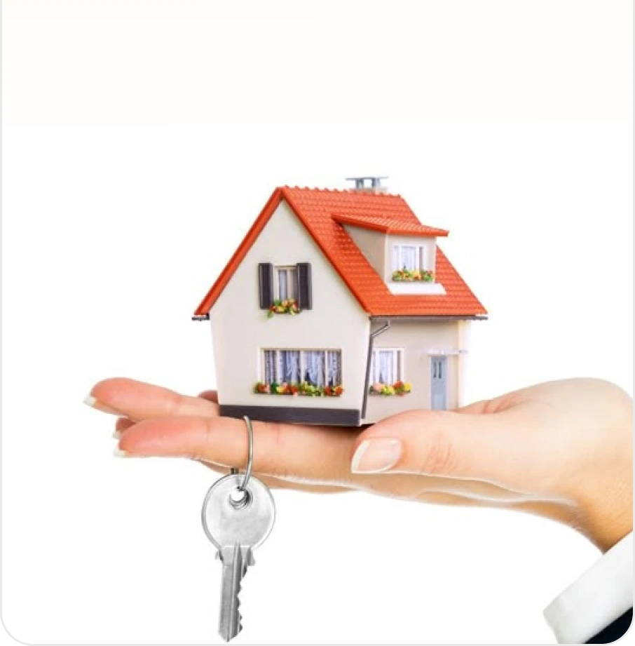Real Estate