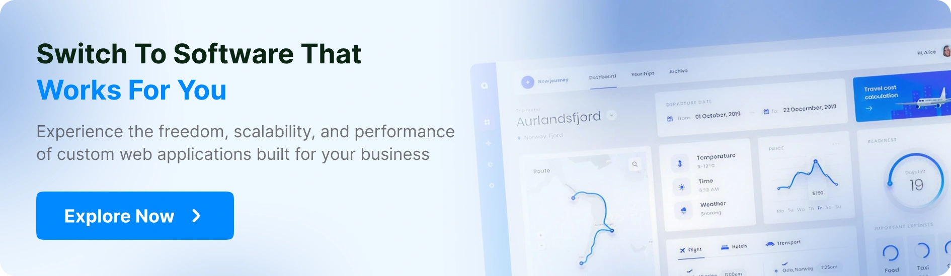 Custom Web Application Developers