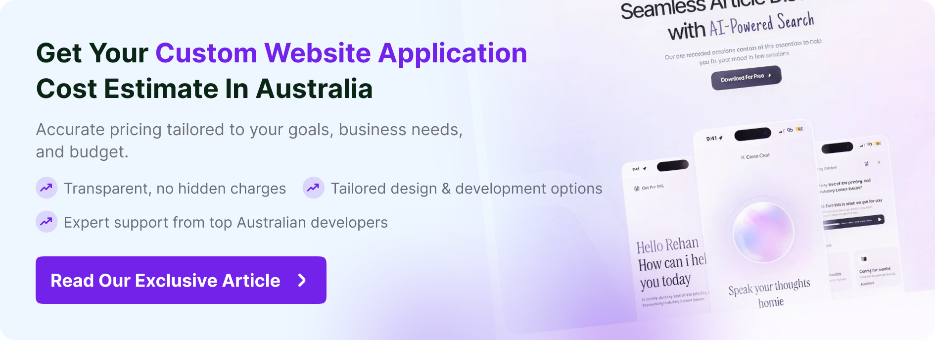 Custom Web Application Cost
